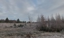 Pierwsza Zima_19