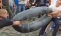 Dożynki 2017_43
