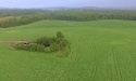 Wiosna 2020_3