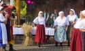 Jarmark Płodów Rolnych 2020_126