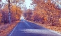 rokitki-4pory_15