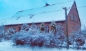 rokitki-4pory_17