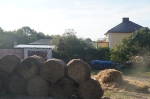 Bochowo lato 2015_38