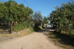 Bochowo lato 2015_50