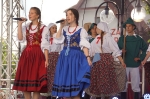 Dożynki 2016_28