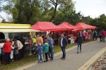 Dożynki 2017_28