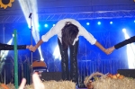 Dożynki Gminne Nożyno 2014_499