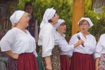 Jarmark Płodów Rolnych 2020_136