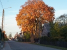Jesień 2015