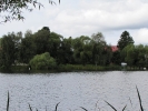Letnie widoki_11