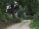 Letnie widoki_14
