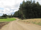 Letnie widoki_21