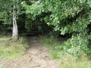 Letnie widoki_28