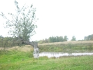 Letnie widoki_2