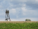 Letnie widoki_44