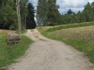 Letnie widoki_45