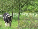Letnie widoki_47