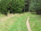 Letnie widoki_50