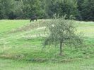 Letnie widoki_58