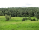 Letnie widoki_59