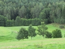 Letnie widoki_62