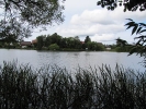 Letnie widoki_7