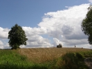 Letnie widoki_99