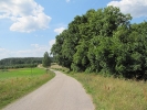 Letnie widoki_10
