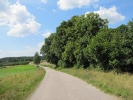 Letnie widoki_11