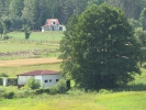 Letnie widoki_12