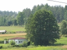 Letnie widoki_13