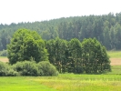 Letnie widoki_18