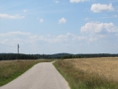 Letnie widoki_1
