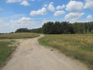 Letnie widoki_20