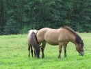 Letnie widoki_24
