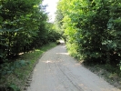 Letnie widoki_32