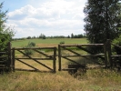 Letnie widoki_37