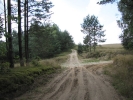 Letnie widoki_38