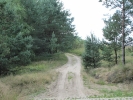 Letnie widoki_39