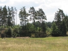 Letnie widoki_3