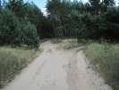 Letnie widoki_41