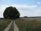 Letnie widoki_42