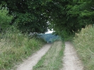 Letnie widoki_43