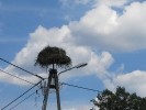 Letnie widoki_48