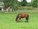 Letnie widoki_49