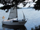 Letnie widoki_53