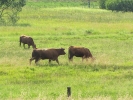 Letnie widoki_59