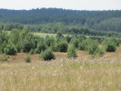 Letnie widoki_5