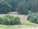 Letnie widoki_60