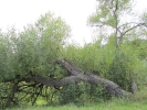 Letnie widoki_63